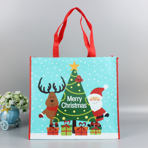 nonwoven bag with lamination SOIT004