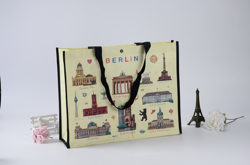 ppwoven bag SOIT003