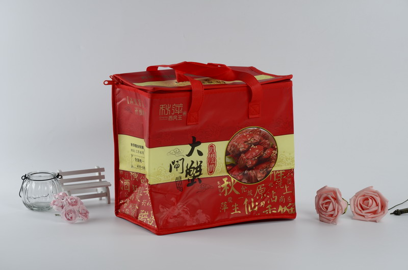 insulation bag SOIT001