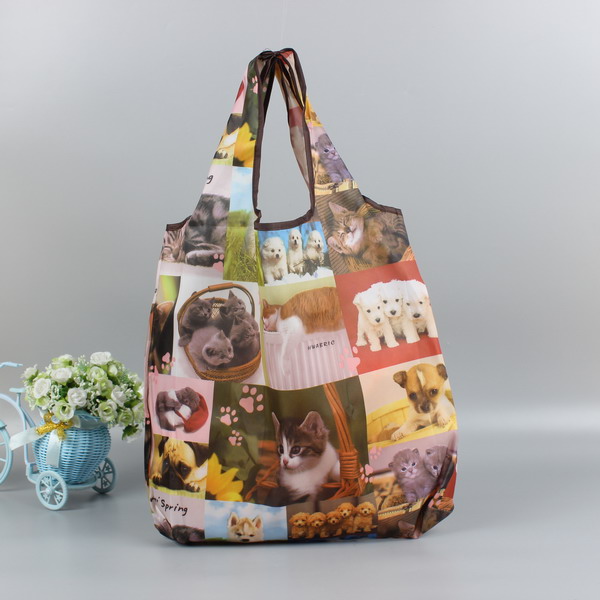 polyester bag SOIT001